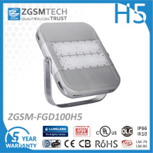 Hot Selling 100W Dimmable LED Flood Light with Meanwell Driver